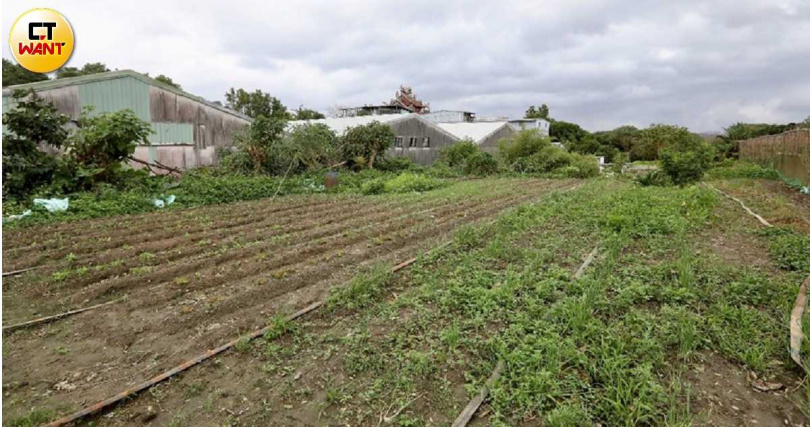 北市士林區社子島開發案9日將召開舊曆年後首場都委會審查。圖為社子島一隅。(圖/方萬民攝)