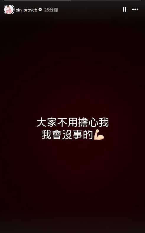 莊昕諺昨晚在IG限時動態向球迷報平安。(圖/翻攝自IG/xin_proveb)
