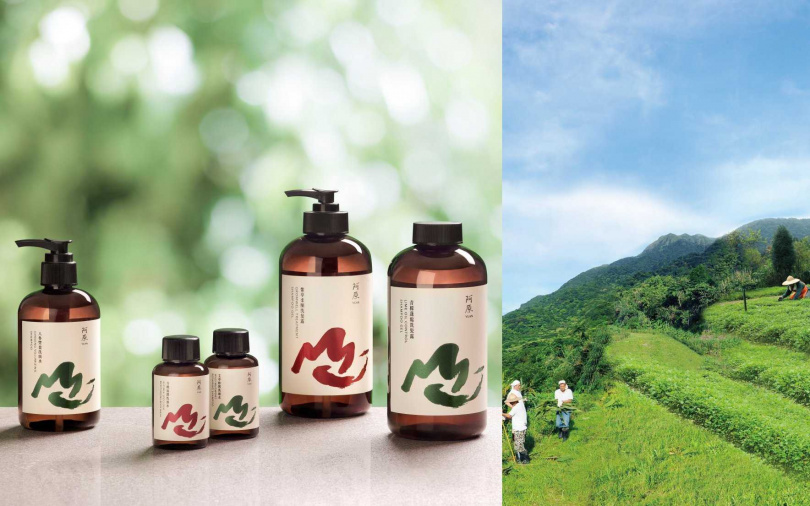 清明連假期間剛好遇上新品上市優惠，像是艾草洗頭水、玫瑰天竺葵洗手慕斯都有折扣，買一件送壓頭、買多還送旅行瓶。（圖／品牌提供）