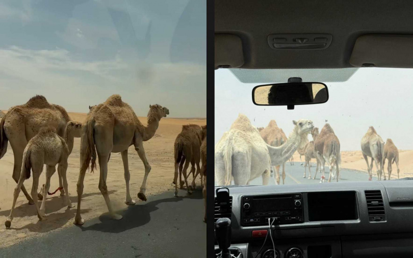 （圖／取自蔡依林IG）