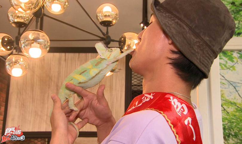 風田意外遭變色龍奪吻。(圖/TVBS提供)