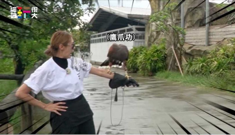 張棋惠被「鷹爪」嚇到尖叫求饒。（圖／綜藝玩很大提供）