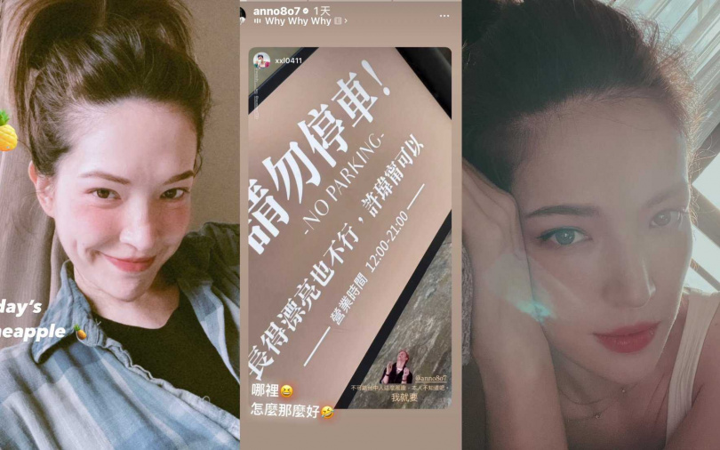 （圖／取自許瑋甯IG）