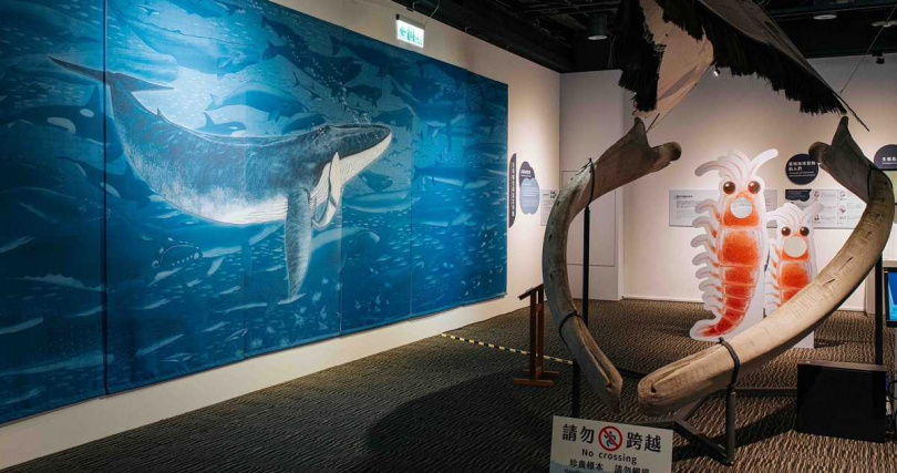 中信金控偕同旗下子公司攜手蘭陽博物館舉辦「鯨靈.淨零」特展,公私協力推動守護海洋生態多樣性教育(圖/中信金控提供)。