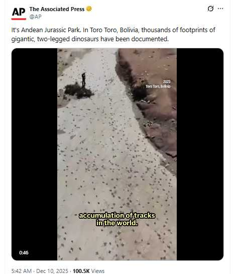 研究人員在遺址發現長達130公尺的游泳足跡軌跡,揭示恐龍涉水前行的珍貴畫面。(圖/翻攝自X,@AP)