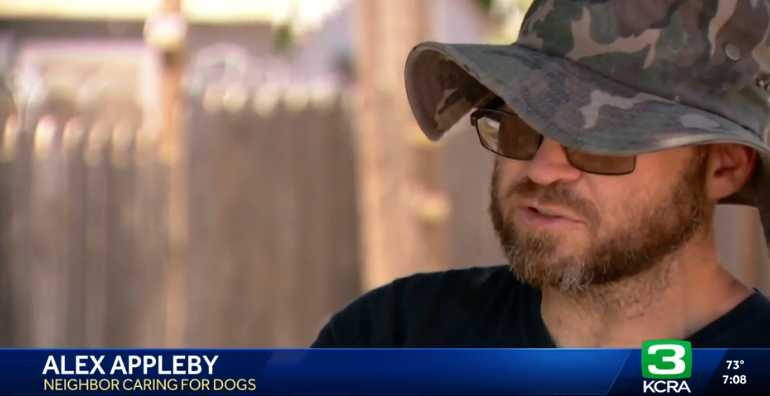 阿波比親手照顧鄰居遺留的29隻狗，逐一替牠們尋找新家。（圖／翻攝自KCRA）