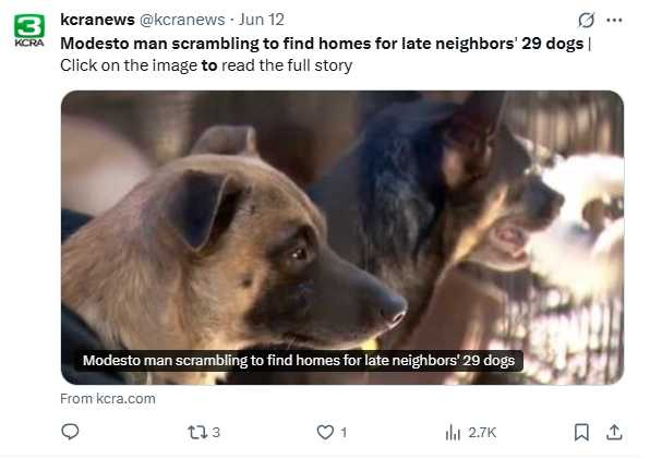 阿波比親手照顧鄰居遺留的29隻狗，逐一替牠們尋找新家。（圖／翻攝自X）