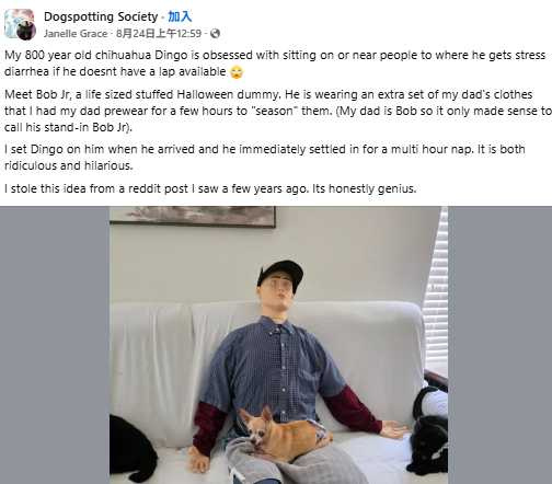 汀果年紀極大，幾乎失明、無牙無下顎，卻仍對坐膝蓋癡迷不減。（圖／翻攝自FB，Dogspotting Society  ）