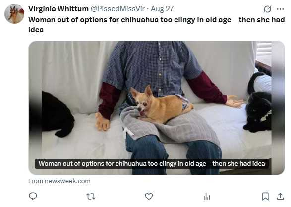 假人穿上主人父親的衣服，散發熟悉氣味，讓汀果安心窩在腿上長時間小睡。（圖／翻攝自X，@PissedMissVir）