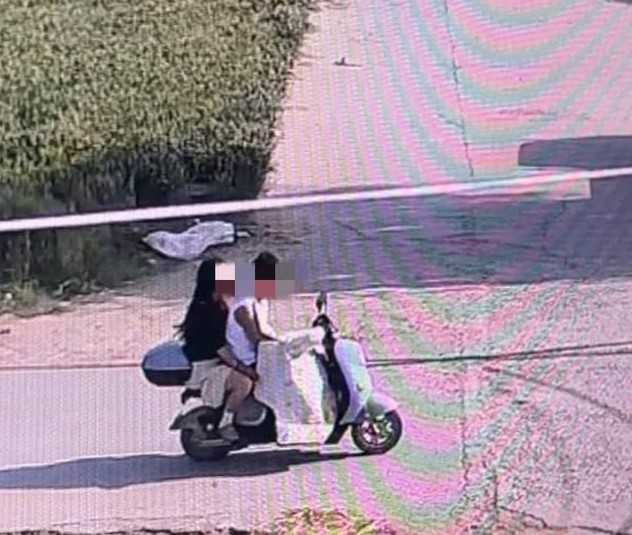 大陸網紅犬「鋤頭」日前遭人帶走後轉賣宰殺,引發社會高度關注。(圖/翻攝自封面新聞)