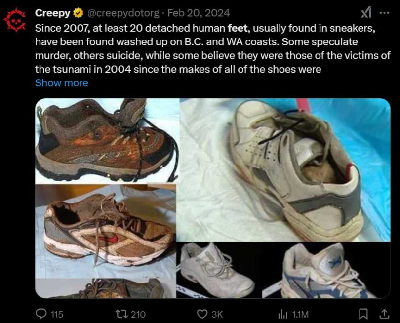 加拿大加比奧拉島不時驚見人腳殘肢,當地民眾懷疑,死者被黑幫殺害或是邪教組織舉行殺人儀式。(圖/翻攝自X)