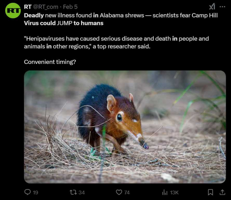 美國阿拉巴馬州近日發現鼩鼱體內發現 「坎普希爾」病毒。（圖／翻攝自X）