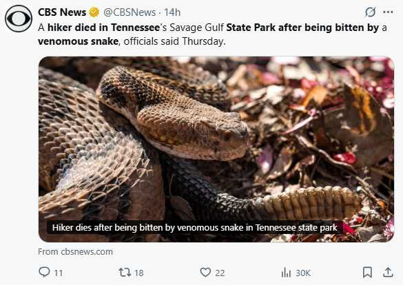 專家提醒遇到野生蛇類應保持距離並避免觸碰。（圖／翻攝自X，@CBSNews）