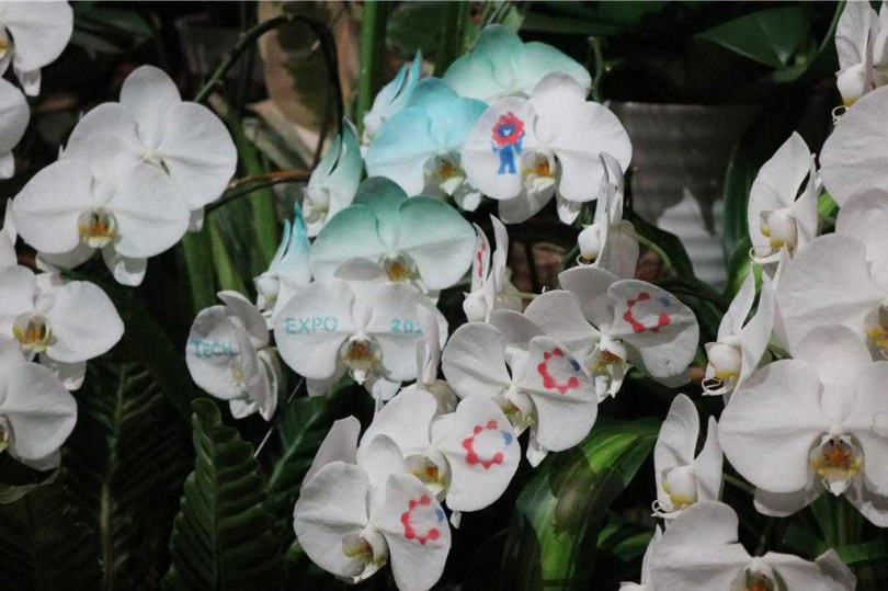 TECH WORLD館也以蘭花奈米噴染技術進行國際交流。（圖／中時記者蔡明亘攝）