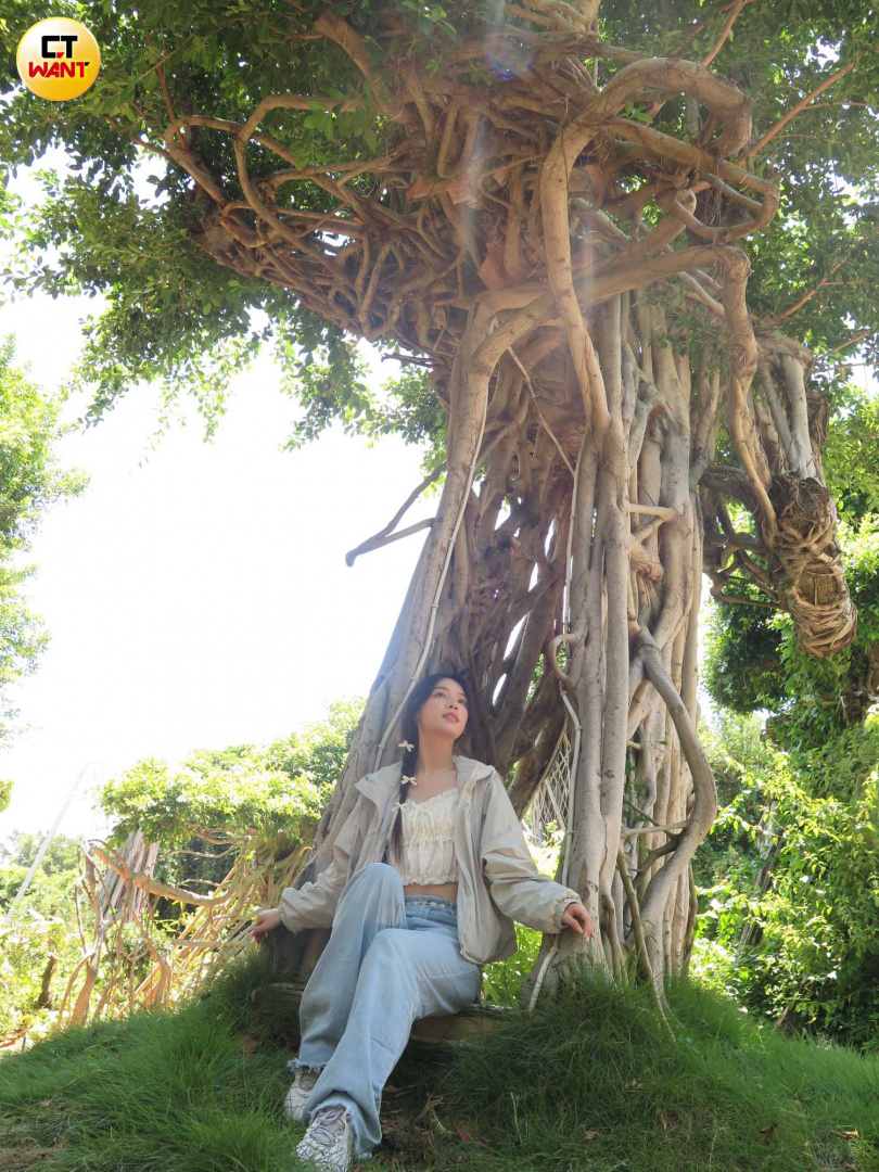 榕樹的氣根也能做出天然鞦韆造型。（圖／陳曼儂攝）