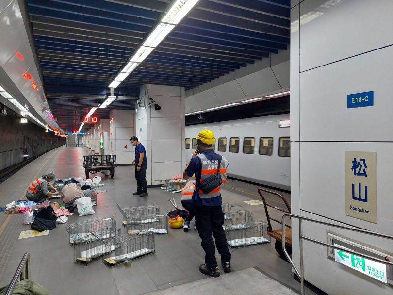 松山車站旅客寵物貓逃逸,動保處配合臺鐵軌道斷電連日深夜進行救援。(圖/臺北市動物保護處提供)