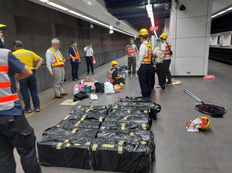 松山車站旅客寵物貓逃逸,動保處配合臺鐵軌道斷電連日深夜進行救援。(圖/臺北市動物保護處提供)