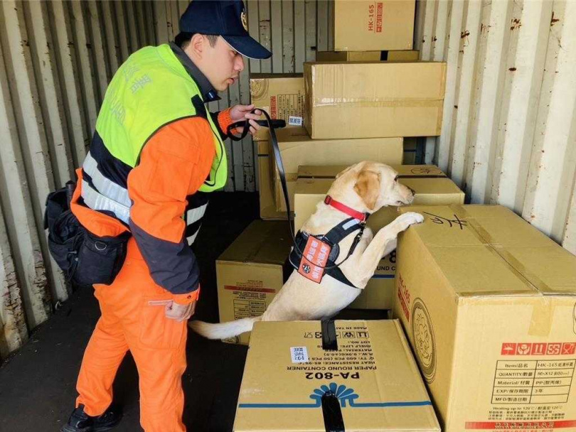 海巡署偵蒐犬區隊加強邊境防疫查緝，嚴防非洲豬瘟等疫病入侵。（圖／海巡署提供）