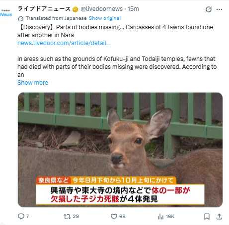 日本奈良東大寺、興福寺周邊接連發現4隻幼鹿死亡,遺體部分缺失,當局不排除人為傷害。(圖/翻攝自X,@livedoornews)