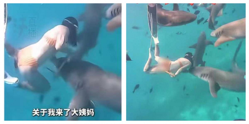 潛水過程中手部遭咬，出現出血與感染跡象，友人急勸就醫未果