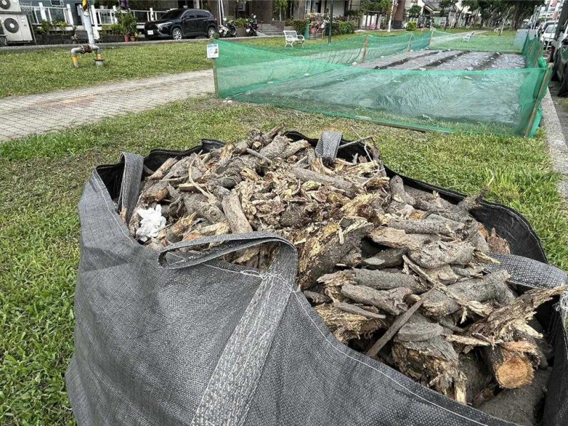 針對屏東市瑞光綠廊褐根病，近日屏東市公所啟動「分區試點整治計畫」，開挖近2公尺連根刨除2棵樹並將土壤殺菌，待有成效後將編列預算擴大整治。（圖／中國時報謝佳潾攝）