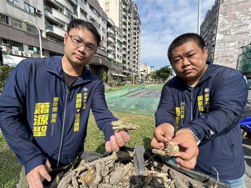 對屏東市瑞光綠廊褐根病，近日屏東市公所啟動「分區試點整治計畫」，市民代表傅建雄（右）、豐年里長蕭源聖（左）肯定也感謝市公所積極作為。（圖／中國時報謝佳潾攝）