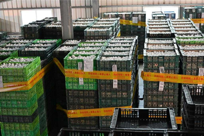 彰化縣政府在取得彰化地檢署同意後,昨晚漏夜將文雅畜牧場封存25萬多顆雞蛋全數銷毀。(圖/彰化縣政府提供)