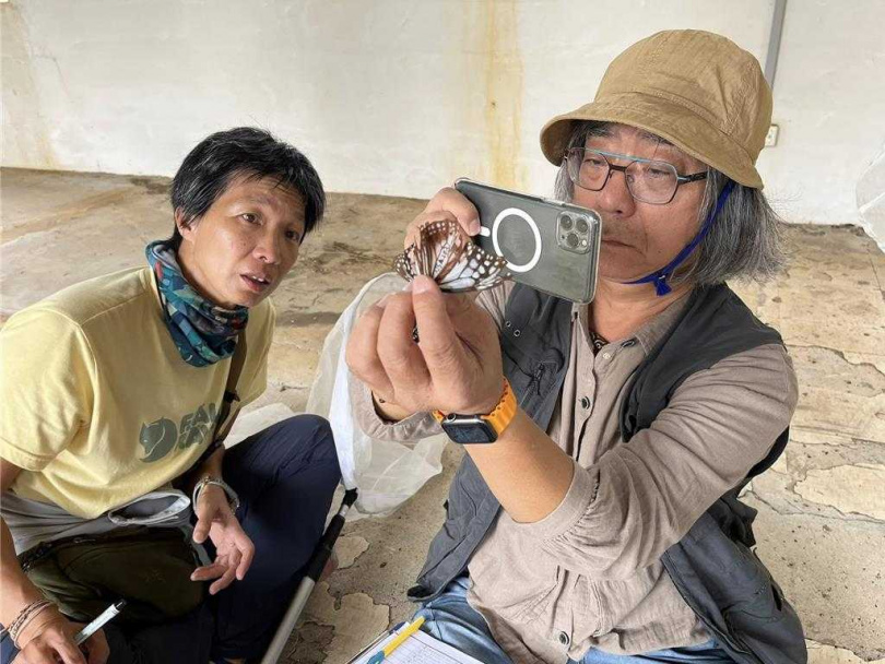 已退休的台北市立大學地球環境暨生物資源學系前系主任陳建志教授（右）8日在西嶼西堡壘進行青斑蝶標放紀錄。（圖／翻攝畫面）