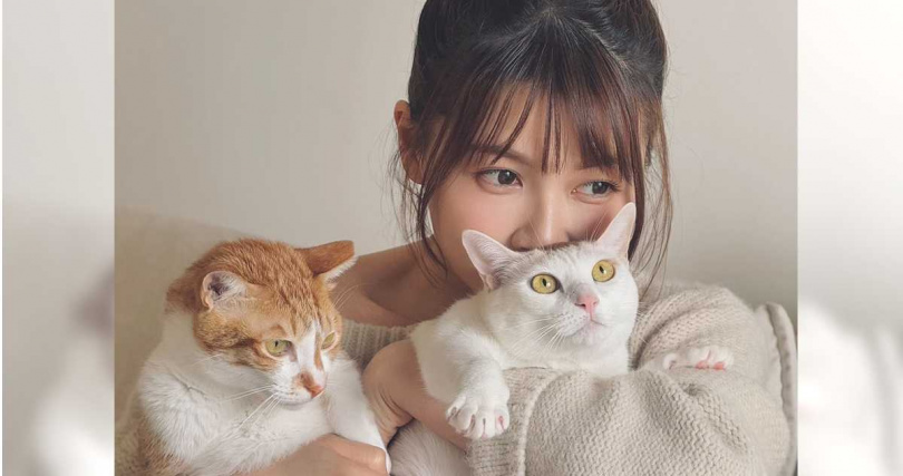 謝京穎身上留有跟狗狗互動的氣息,讓愛貓們吃醋,玻璃心大碎。(圖/民視)