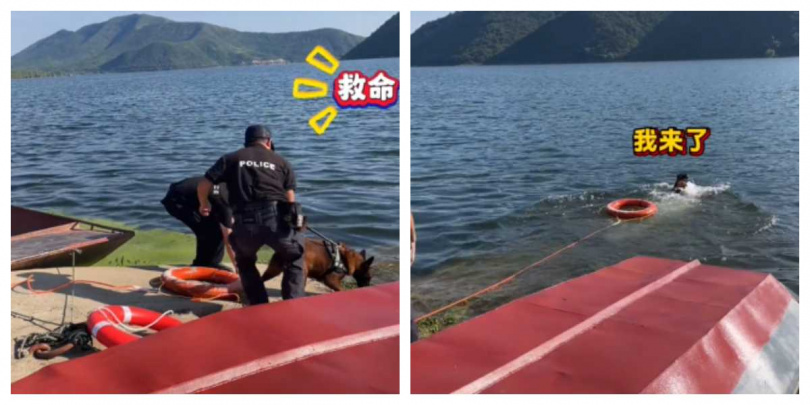 警犬憑藉敏銳嗅覺與視覺記憶，展現高度識別能力，卻也暴露訓練漏洞。（圖／翻攝自微博）