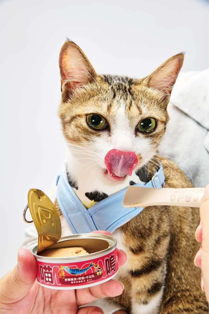 主食罐。(圖片提供/HAHA HOUSE)