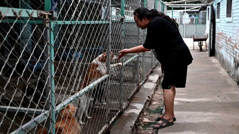 雅加達市長普拉莫諾簽署禁令,禁止販售與食用狂犬病傳播動物。