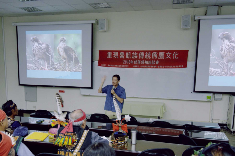 本片跟隨長年研究熊鷹的學者孫元勳，層層看見熊鷹鮮少曝光的行為與生態祕密。（圖／采昌提供）