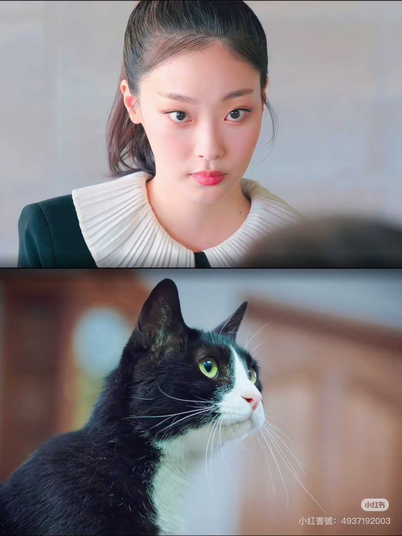 （圖／小紅書）