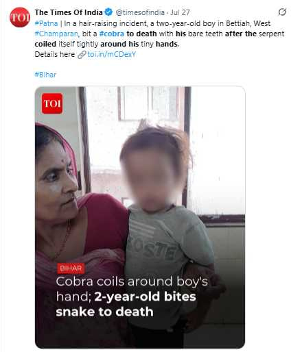 男童戈文達與致命毒蛇纏鬥後反制成功，醫師指出即時送醫是救命關鍵。（圖／翻攝自X）