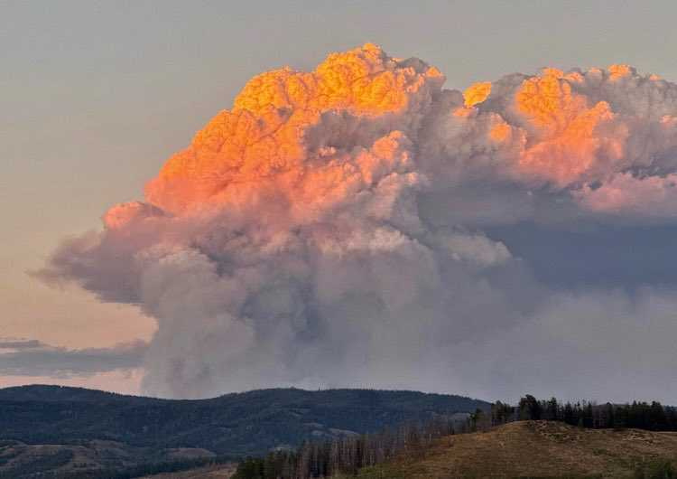 火災原因仍在調查中，目前被初步認定為人為因素。（圖／翻攝自X「@HotshotWake」）