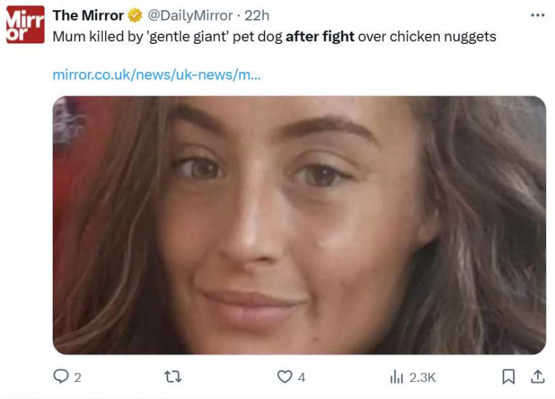 34歲米歇爾・韓普斯特德去年7月在家中不幸遭愛犬誤咬動脈,送醫搶救後仍宣告不治。(圖/翻攝自x,@DailyMirror)