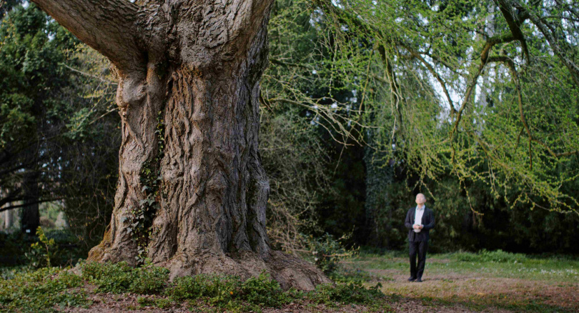 梁朝偉《你是不會當樹嗎》尬戲銀杏樹，發現樹原來是雌性。（圖／海鵬提供）