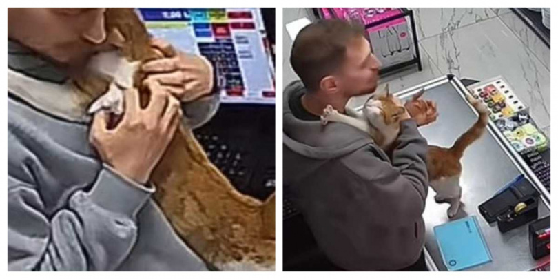 監視器拍下夏奇爾緊抱老闆脖子撒嬌的療癒瞬間。(圖/翻攝自TikTok,ferhathyt)