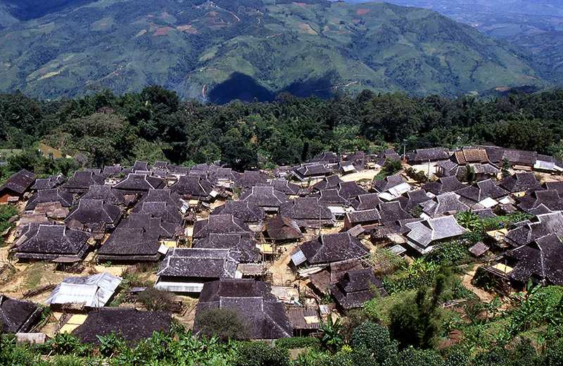 已登錄為聯合國世界文化遺產的普洱市景邁萬畝古茶園與傣寨。(圖/吳德亮攝影)
