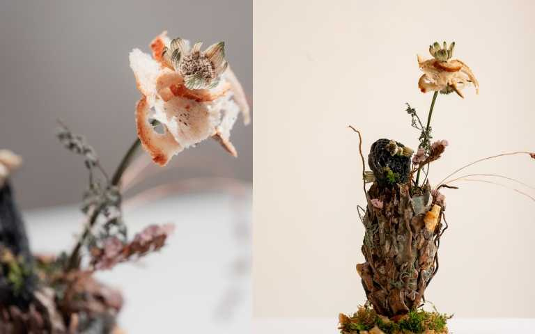 （圖／品牌提供）