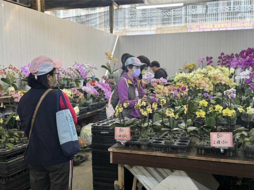 每逢農曆春節前後，家家戶戶常會購買蘭花、富貴菊、銀柳等花卉增添喜氣，大里國光花市昨起連續營業12天至2月2日。（圖／中國時報潘虹恩攝）