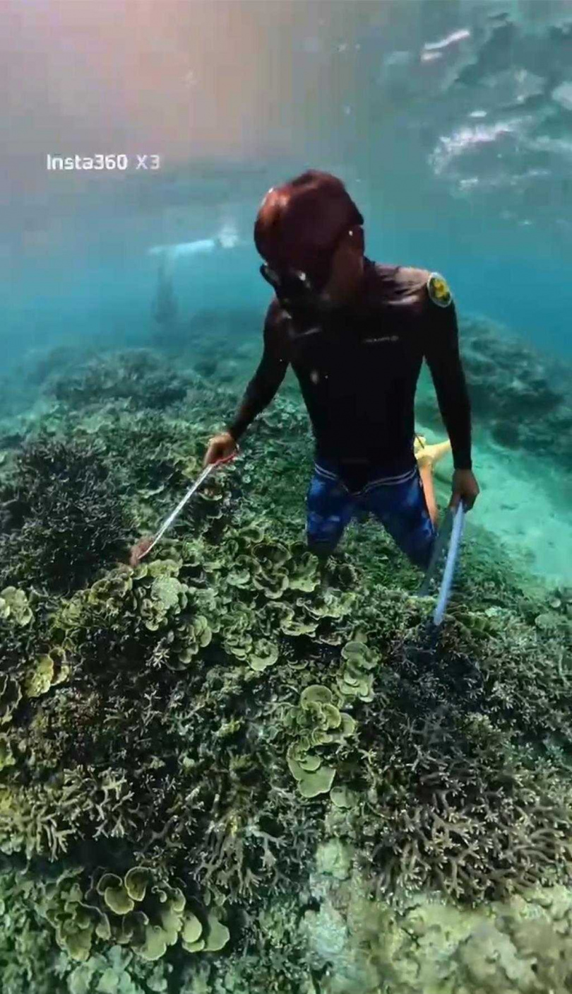 海保署感謝熱情民眾參與棘冠海星行動。（圖／澎湖縣水域遊憩活動商業同業公會提供）