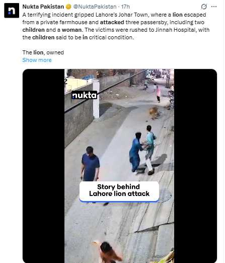巴基斯坦一隻家養獅子逃出住家後,在街頭猛撲婦女與兩名孩童,事發時飼主竟露出笑意,引爆輿論憤怒。(圖/翻攝自X)