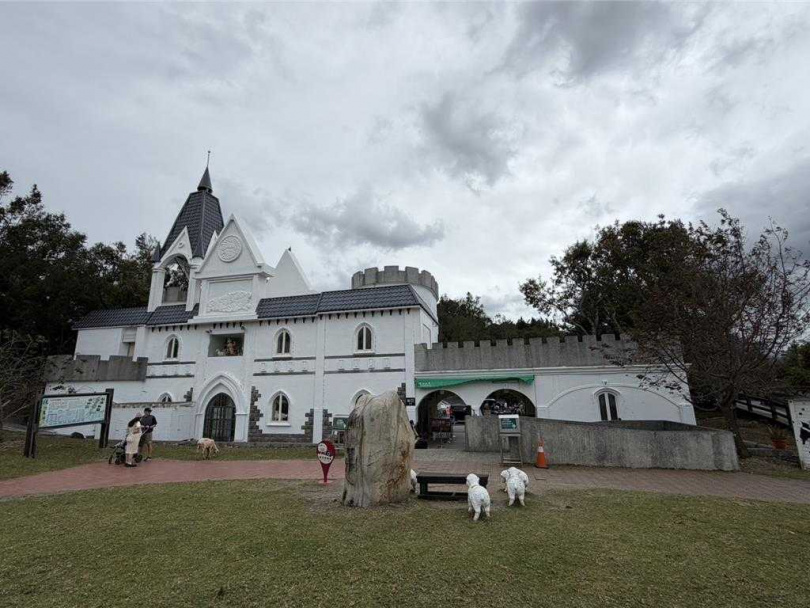 清境地區受到「鳳凰」颱風外圍環流影響，10日一早就感覺風勢明顯增強。（圖／翻攝畫面）