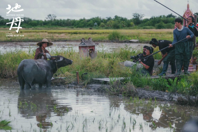 范冰冰在《地母》中與水牛朝夕相處格外有默契。（圖／翻攝自張吉安臉書）