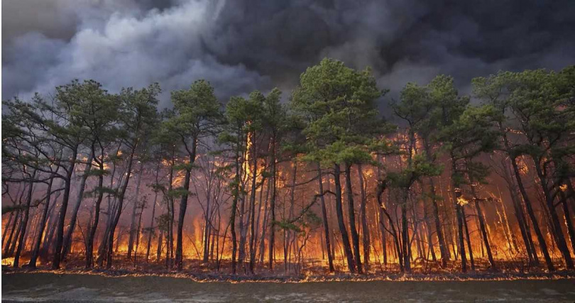 美國紐澤西州20年最大野火，燒掉200座大安森林公園。（圖／達志／美聯社）