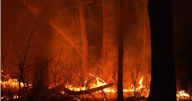 美國紐澤西州20年最大野火，燒掉200座大安森林公園。（圖／達志／美聯社）