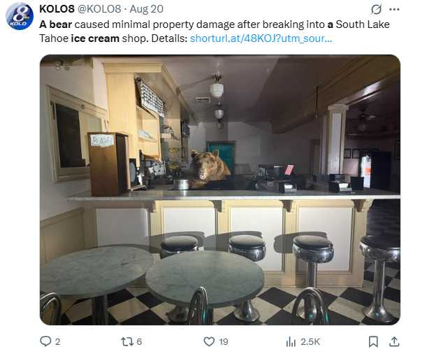 警員趕到現場後,順利將棕熊驅離,過程中一度讓人誤以為牠在應徵店員。(圖/翻攝自X,@KOLO8)