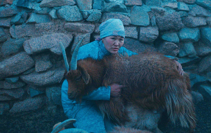 「2025世界民族電影節」開幕片為蒙古國電影《狼群總在夜晚來臨》。（圖／海鵬提供）